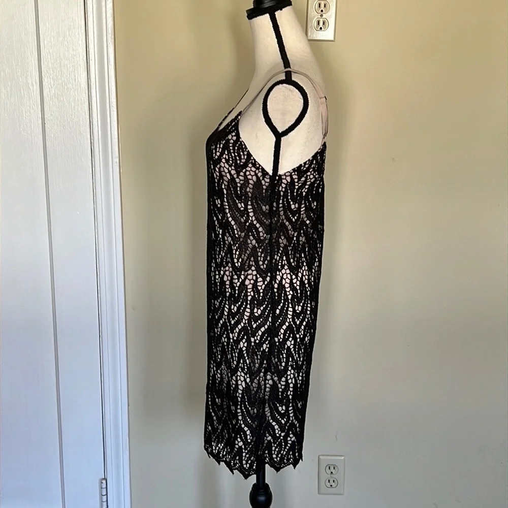 Alice + Olivia Emmie Lace Overlay Dress
